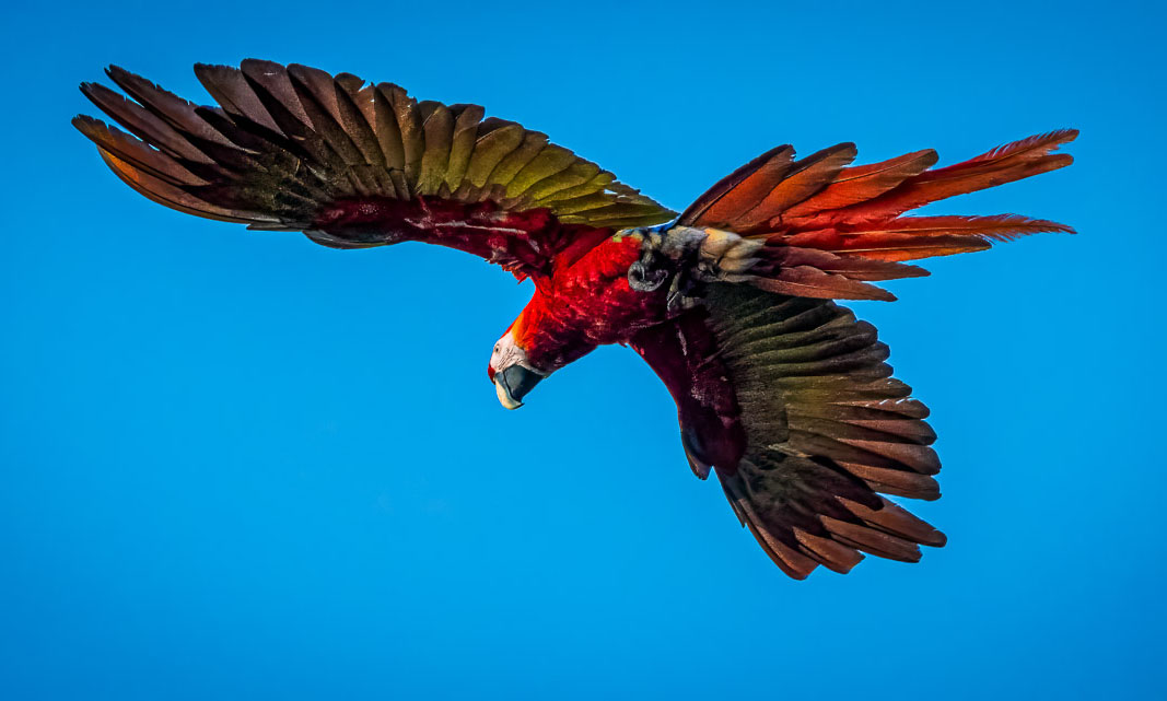 Costa Rica