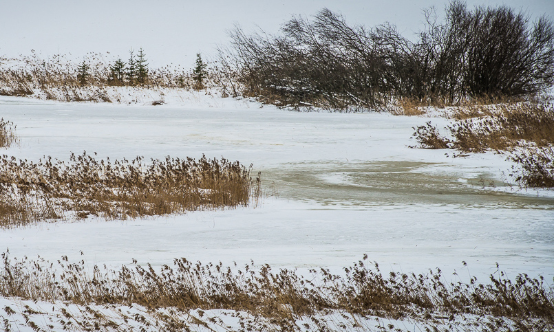 Winterimpressionen