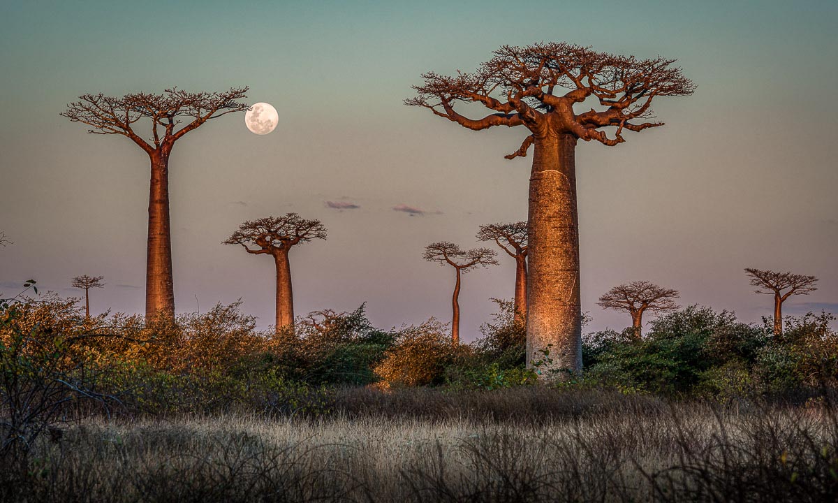 Madagaskar