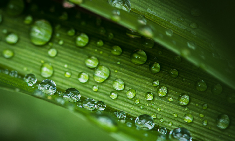 Nach dem Regen